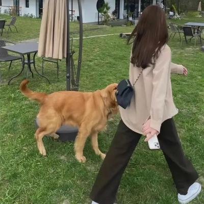 史酷比:加勒比海盗